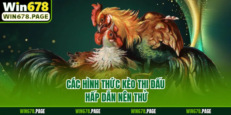 Các hình thức kèo thi đấu hấp dẫn nên thử