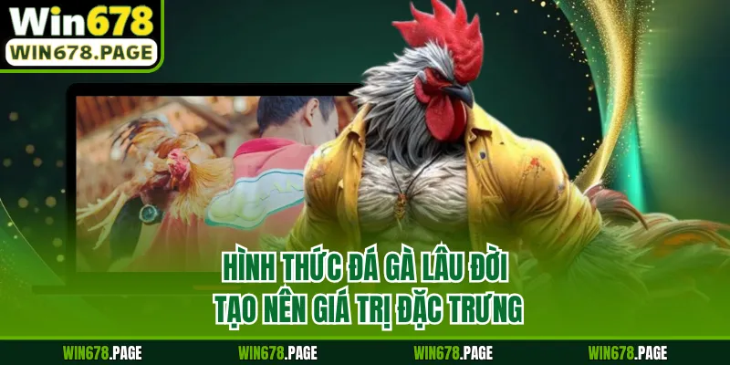 Hình thức đá gà lâu đời tạo nên giá trị đặc trưng