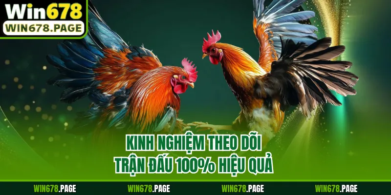 Kinh nghiệm theo dõi trận đấu 100% hiệu quả