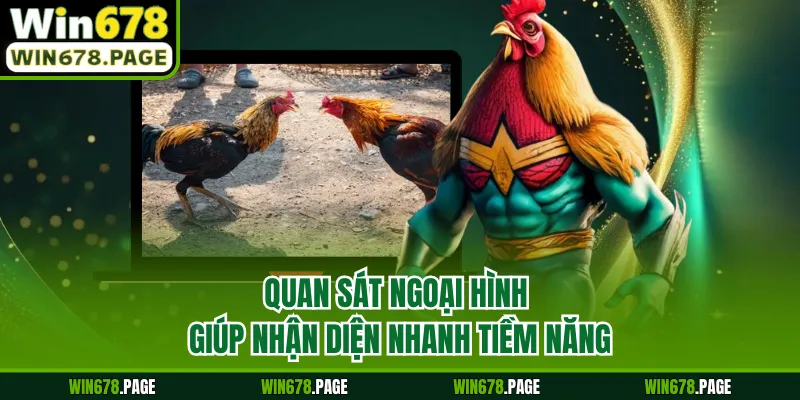 Quan sát ngoại hình giúp nhận diện nhanh tiềm năng