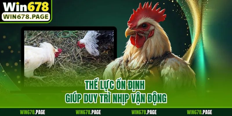 Thể lực ổn định giúp duy trì nhịp vận động